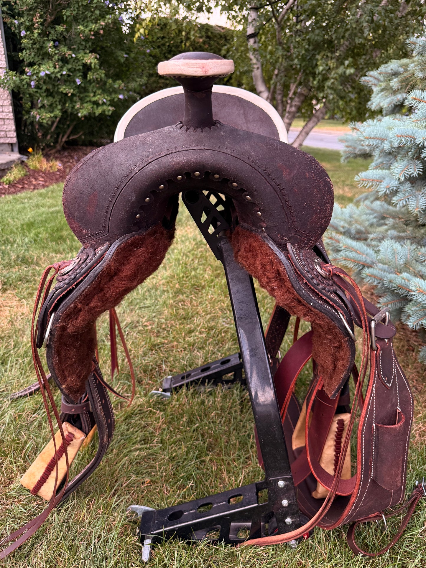 Selle Ranch MAYGAN 14"