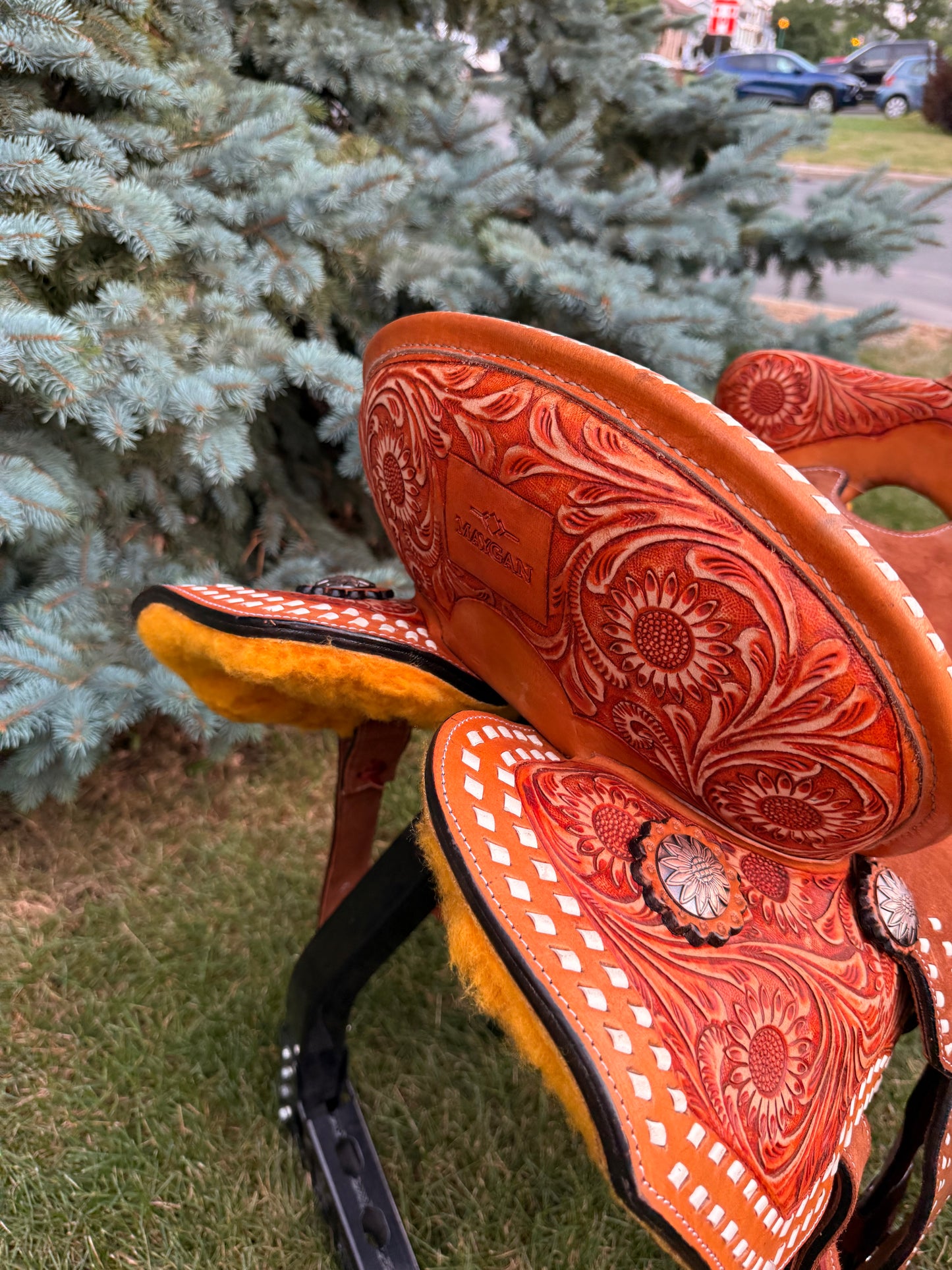 Selle de Baril MAYGAN stock