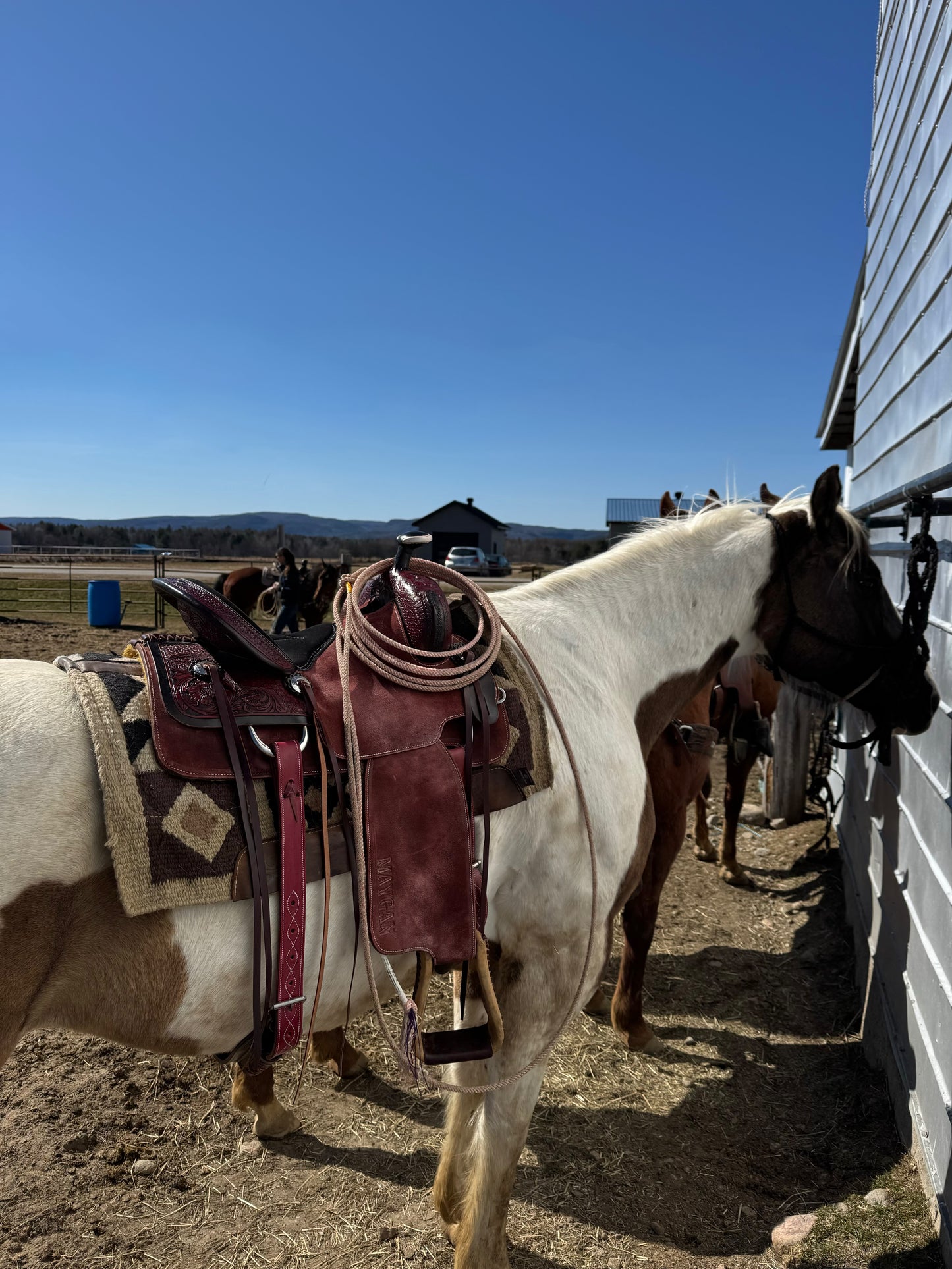 Selle western MAYGAN x Roping