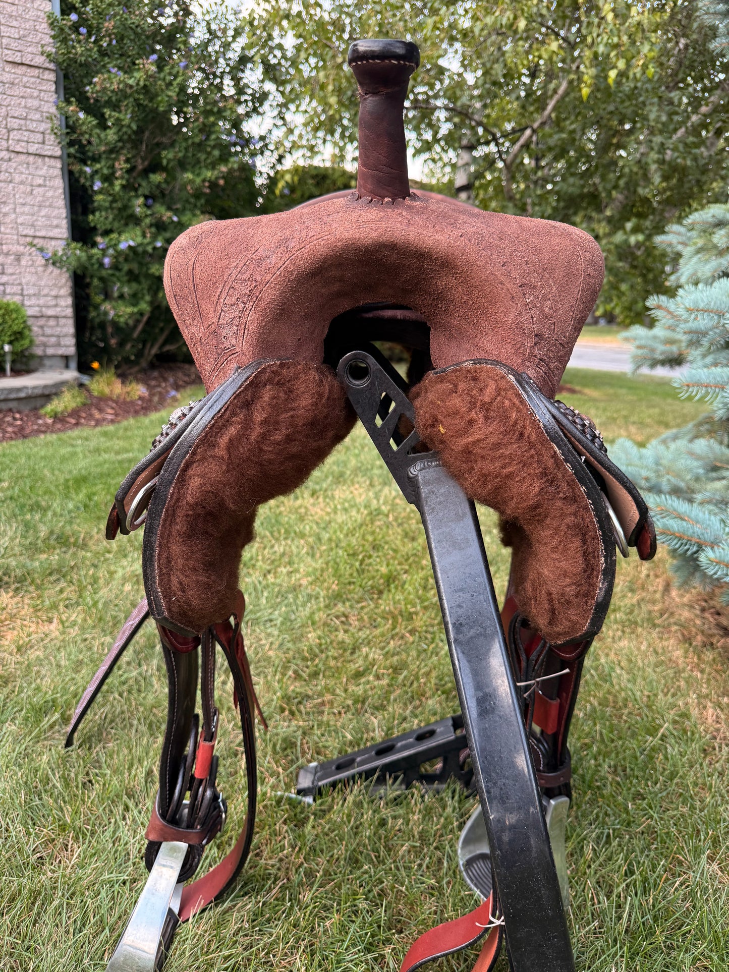 Selle de baril MAYGAN stock