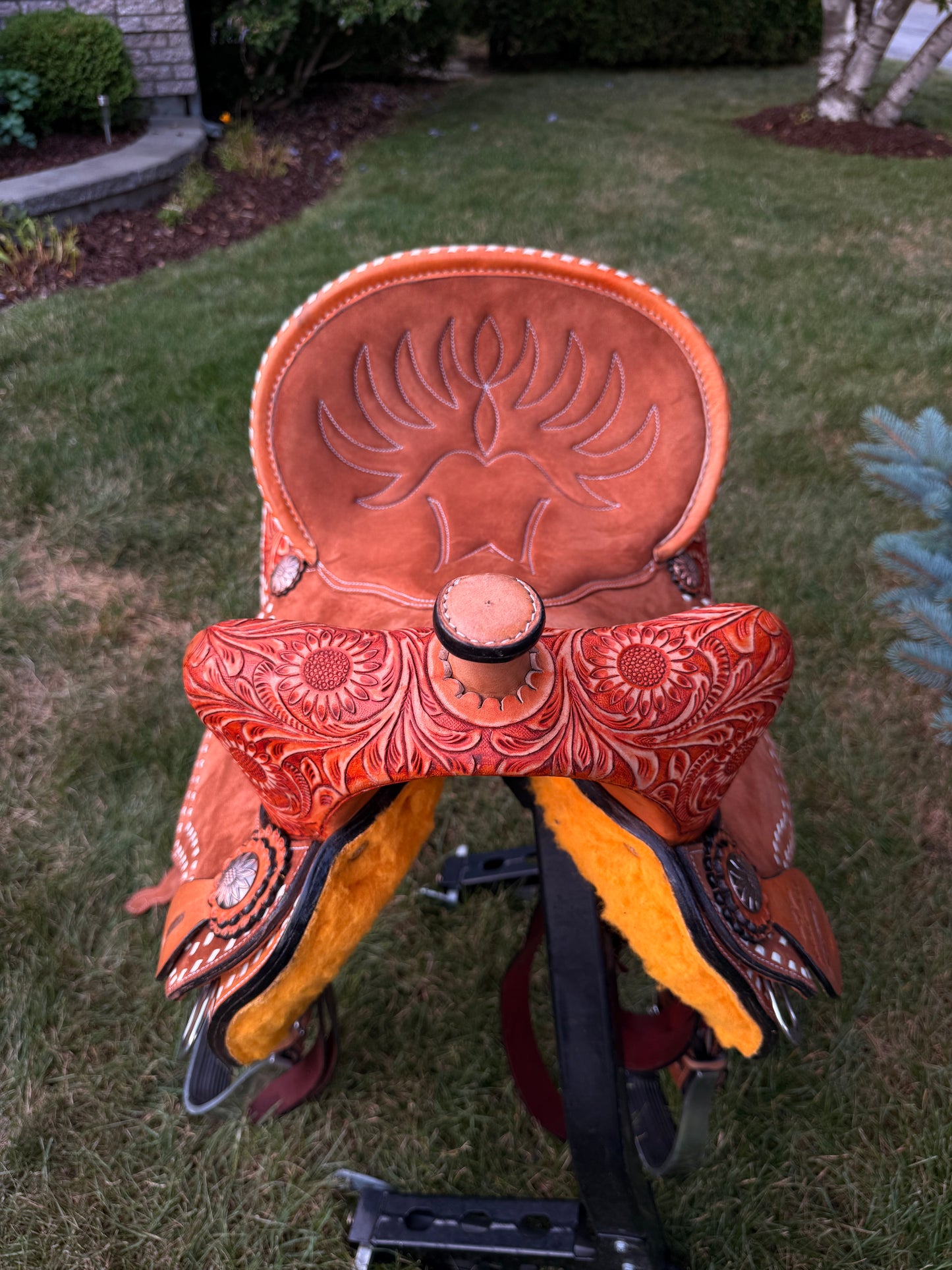 Selle de Baril MAYGAN stock