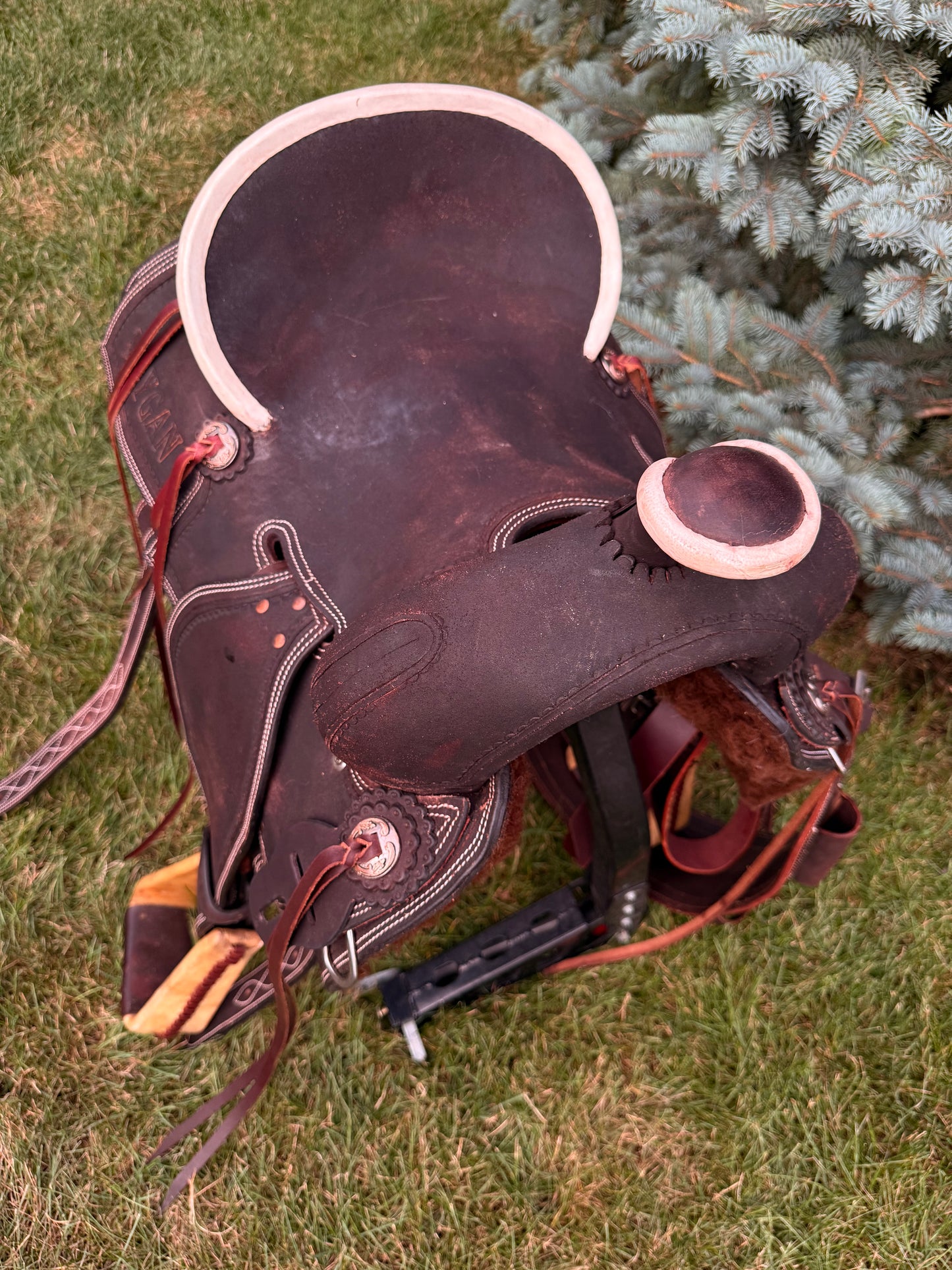 Selle Ranch MAYGAN 14"