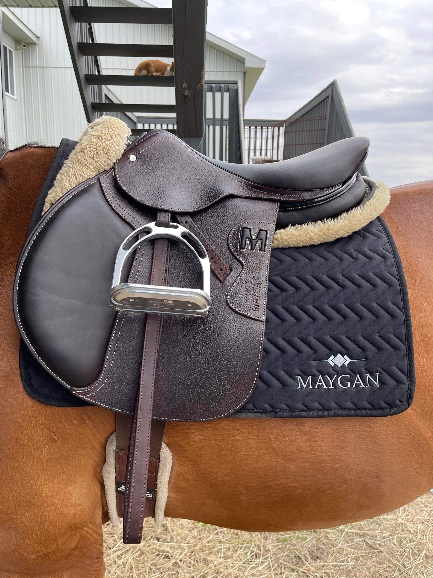 MAYGAN grained obstacle saddle