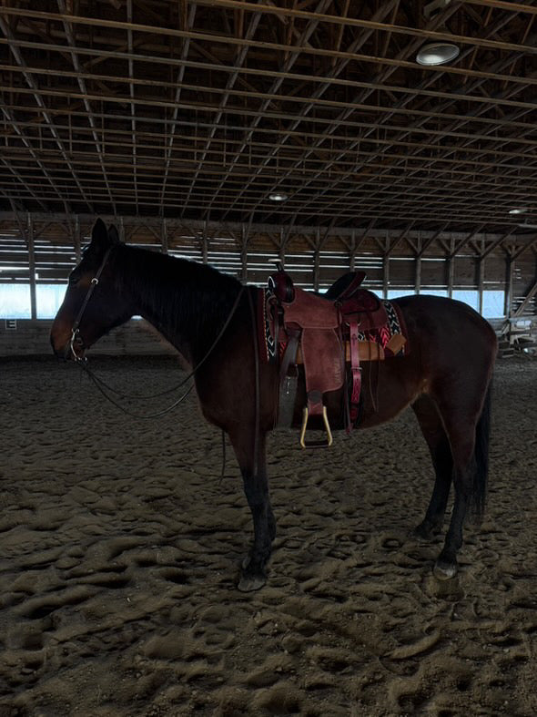 Selle western MAYGAN x Roping