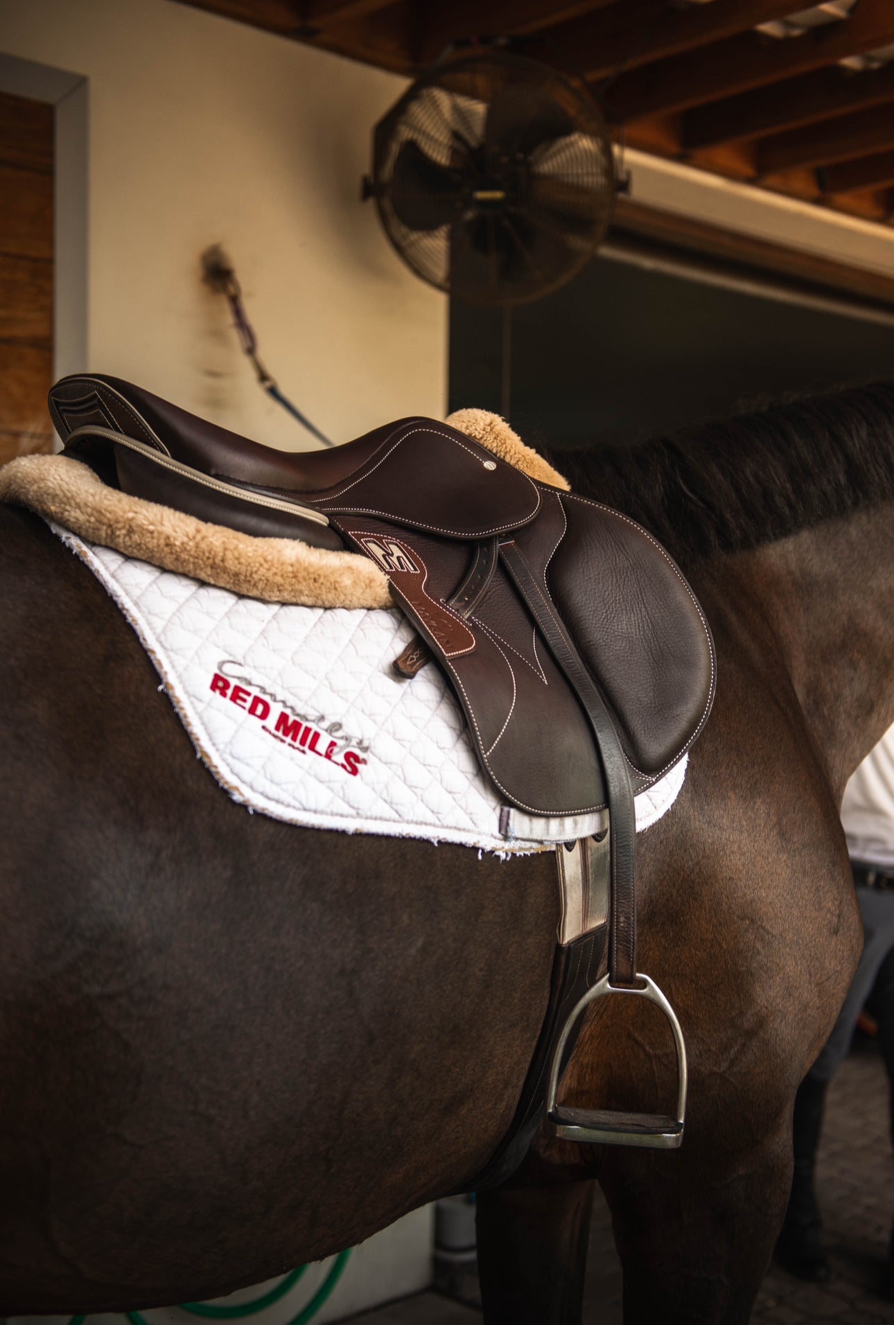 Maygan Lined Obstacle Saddle