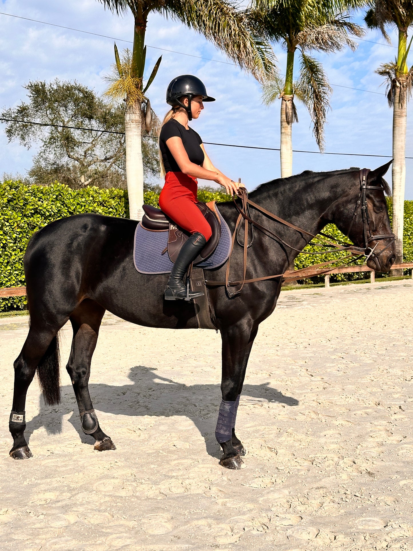Maygan Lined Obstacle Saddle