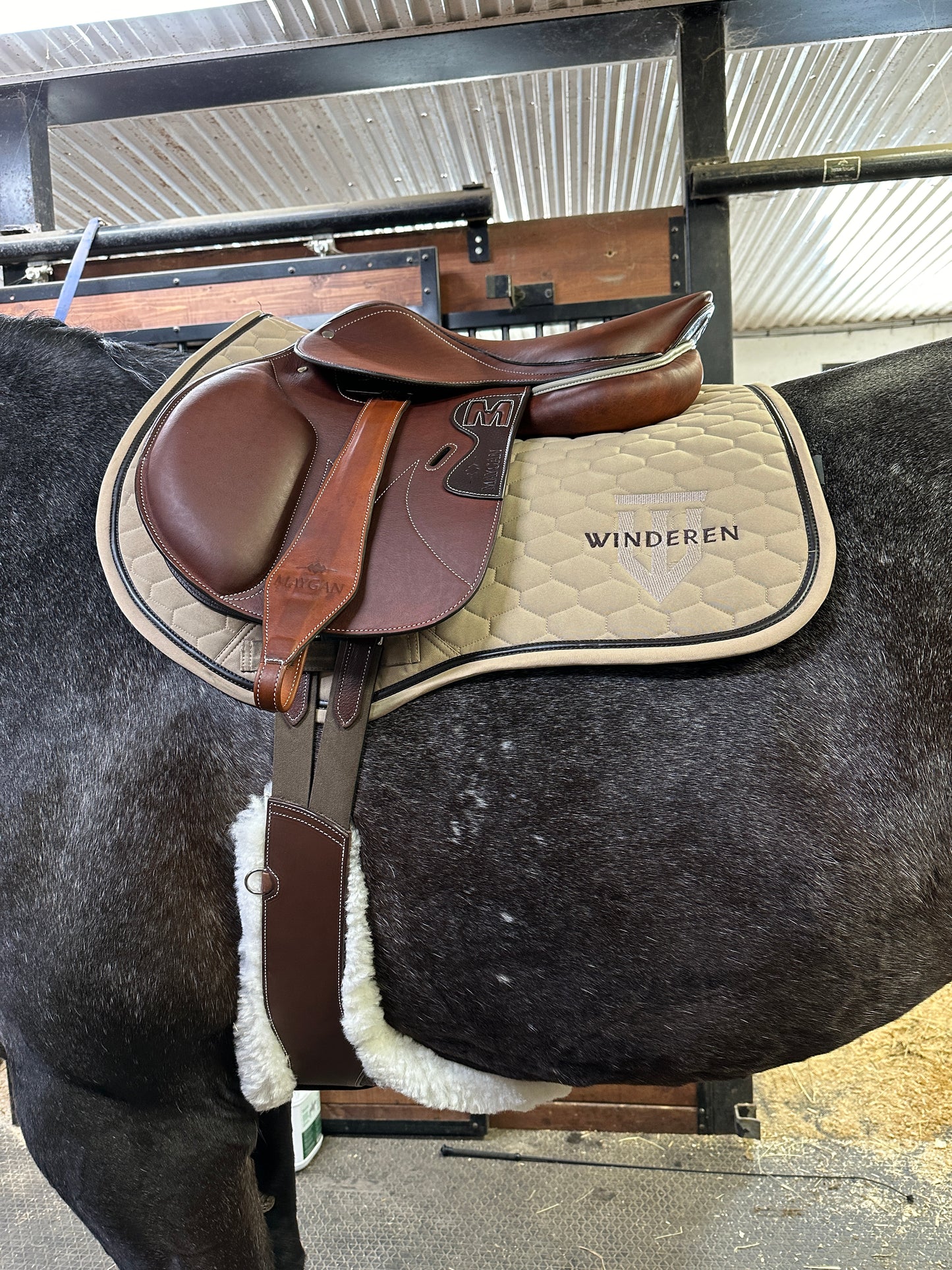 Maygan Lined Obstacle Saddle