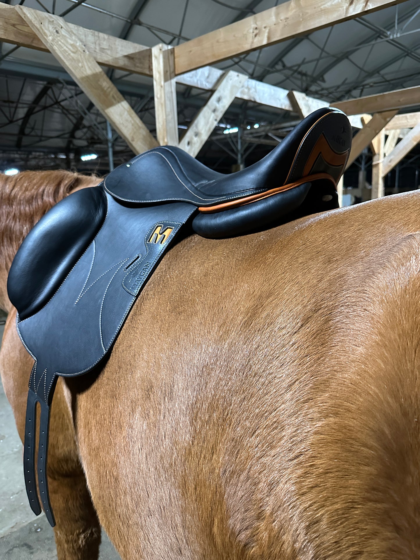 MAYGAN single flap dressage saddle