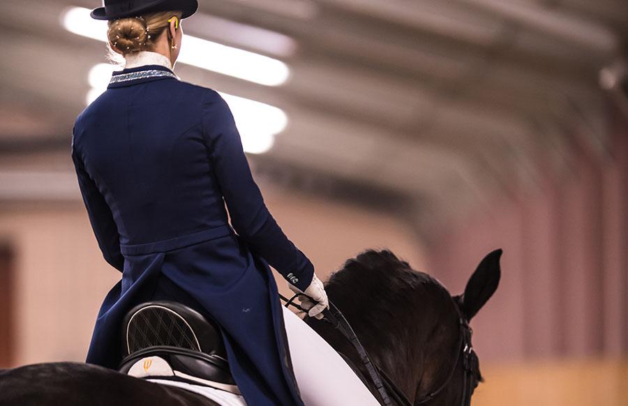 Les amortisseurs Winderen dressage