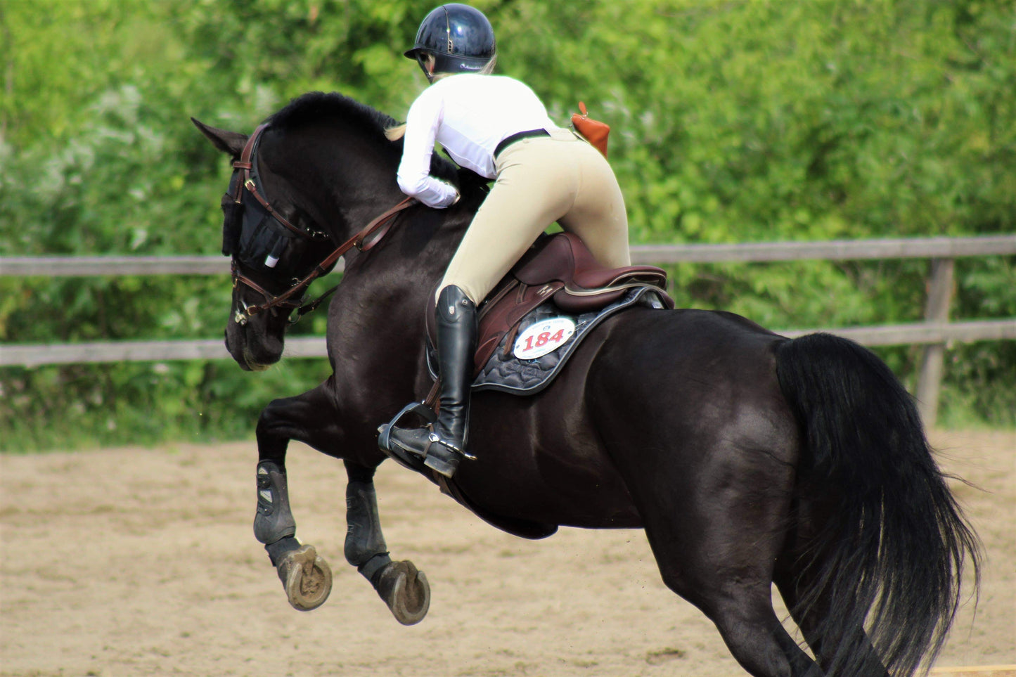 MAYGAN mono flap jumping saddle