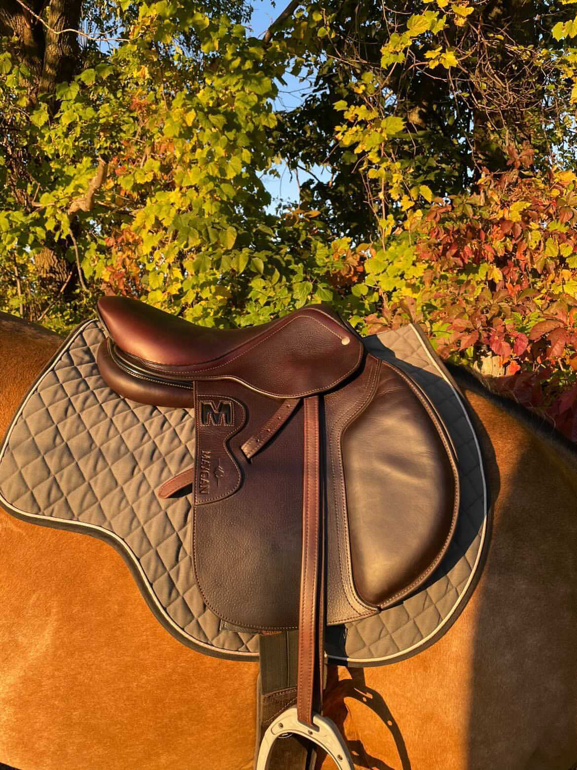 MAYGAN grained obstacle saddle