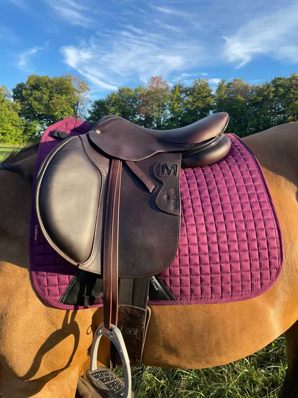 MAYGAN grained obstacle saddle