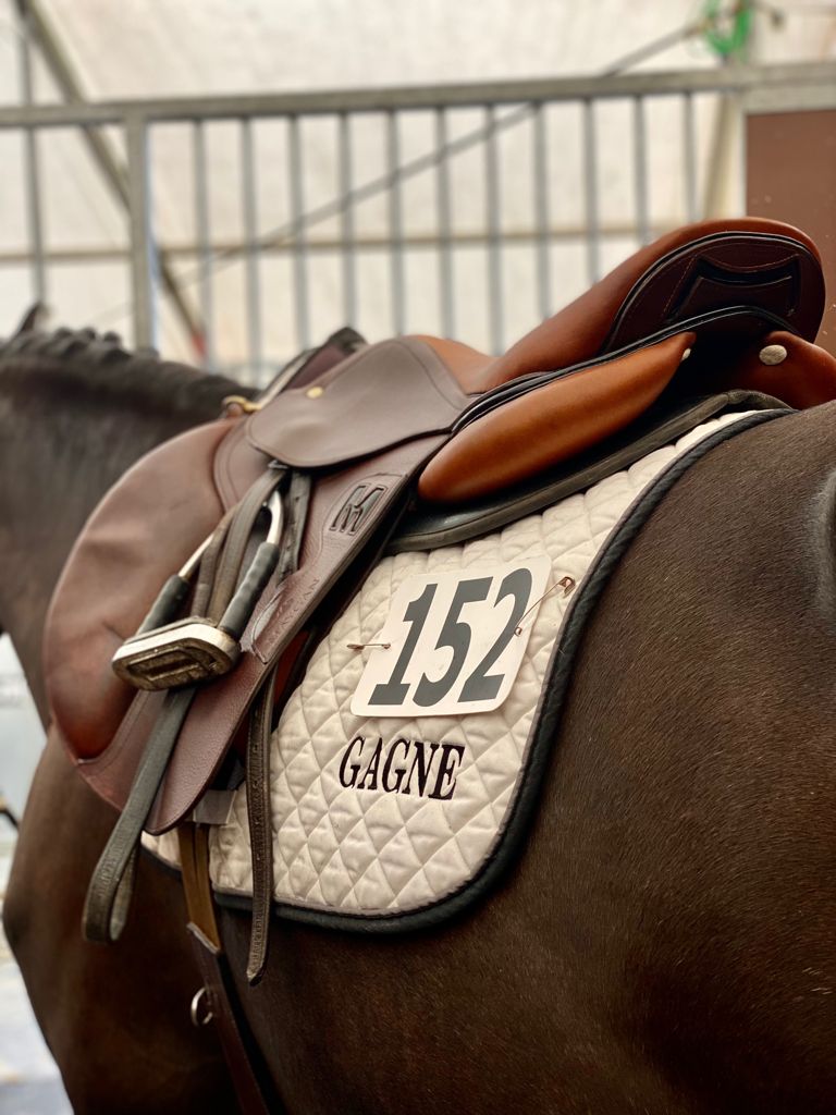 MAYGAN grained obstacle saddle