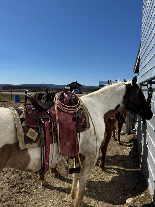 Selle western MAYGAN x Roping