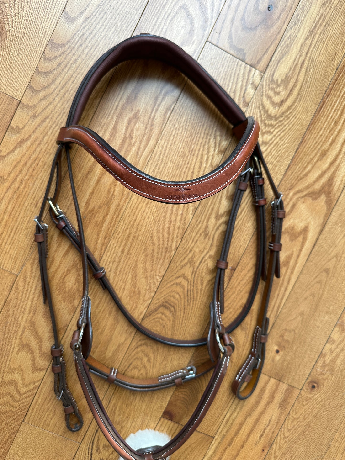 New Figure 8 Bridle MAYGAN