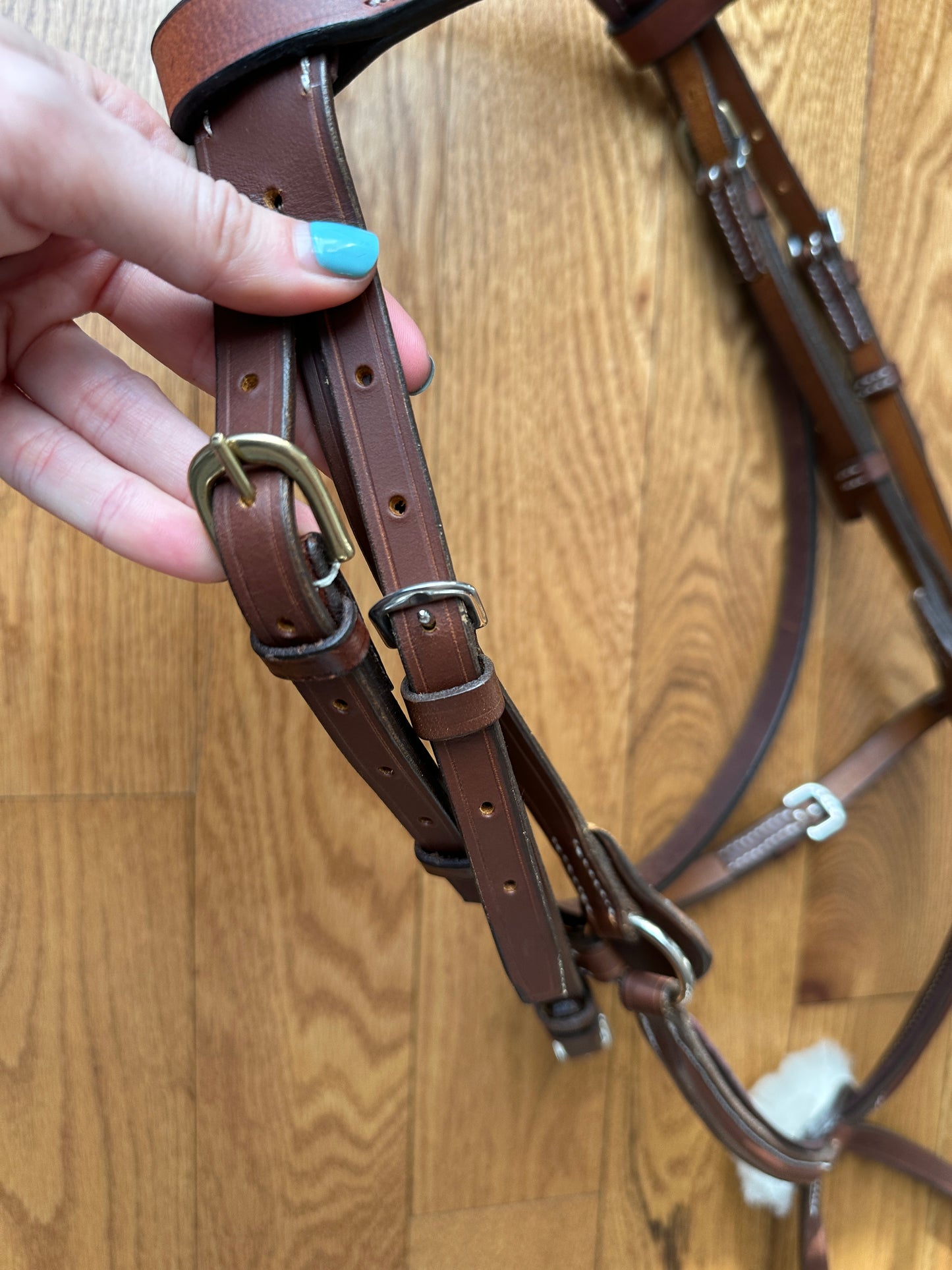 New Figure 8 Bridle MAYGAN