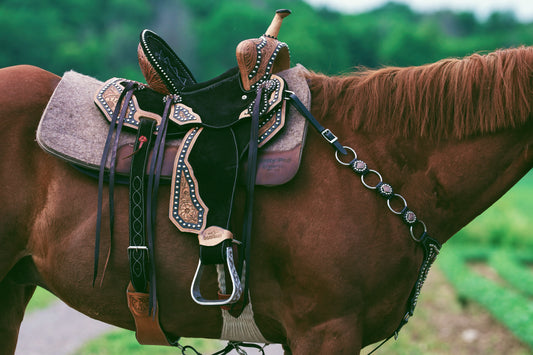 Selle western MAYGAN x Barrel Racing
