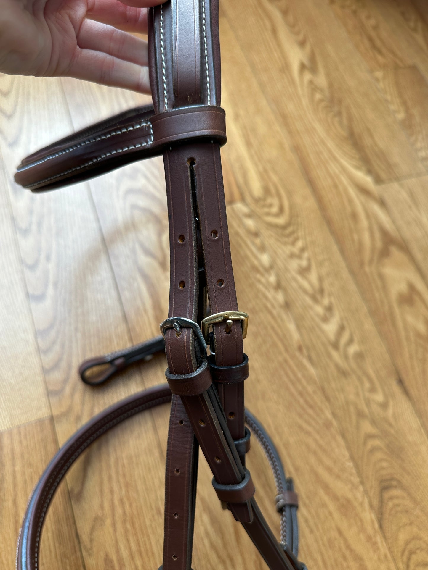 New Hunter bridle MAYGAN