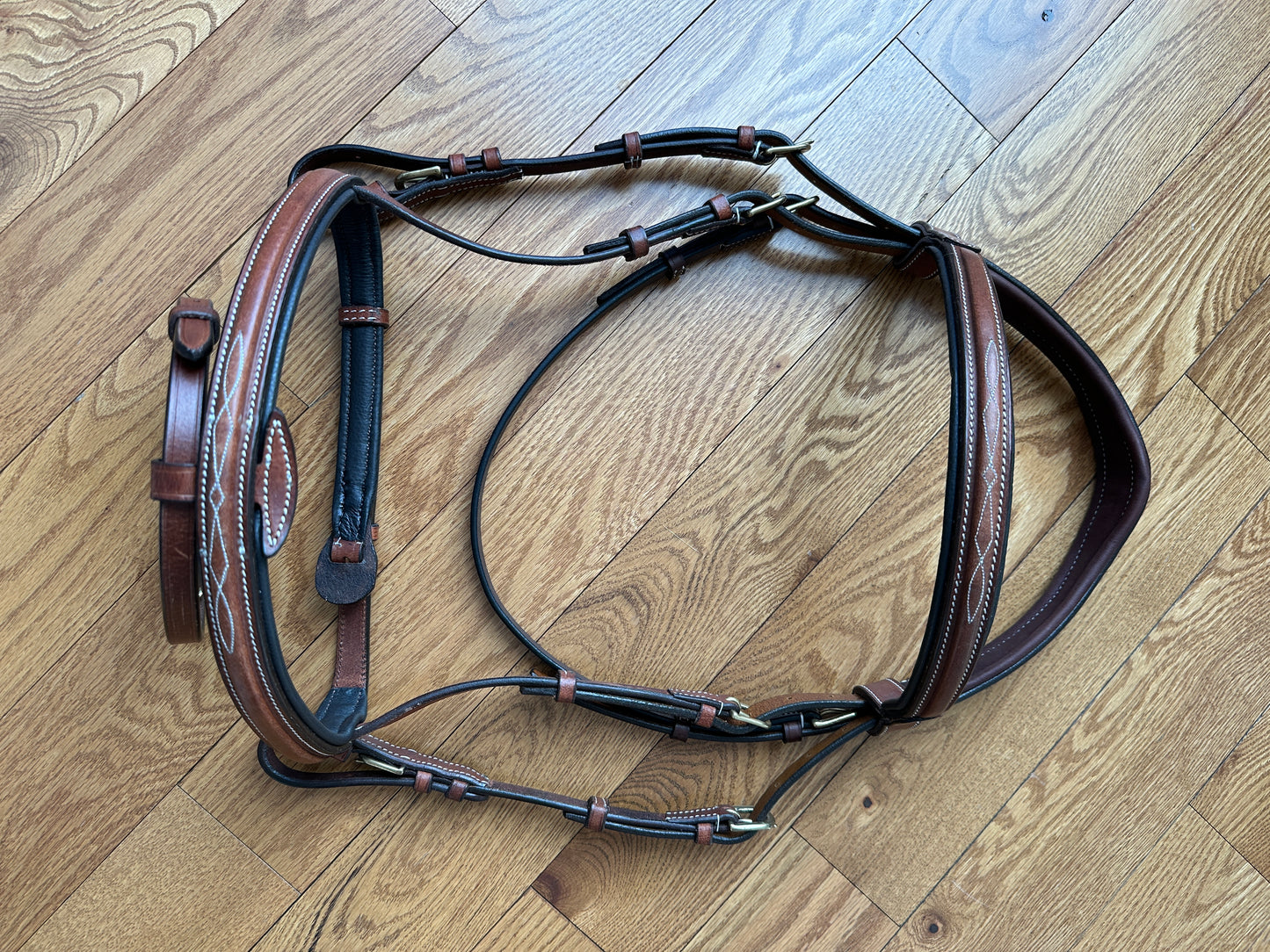 New bridle MAYGAN