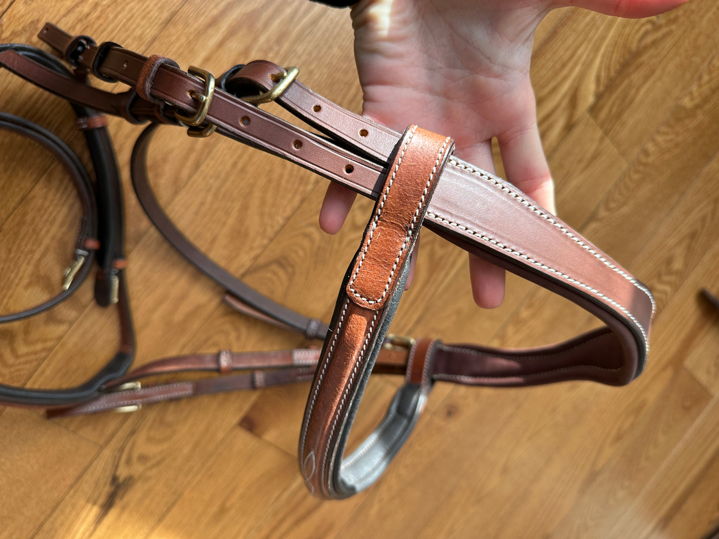 New bridle MAYGAN