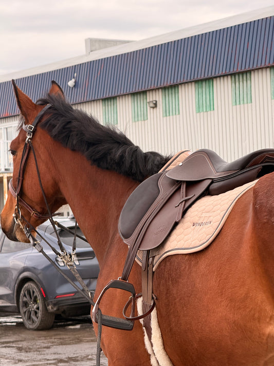 Selle obstacle grainé MAYGAN