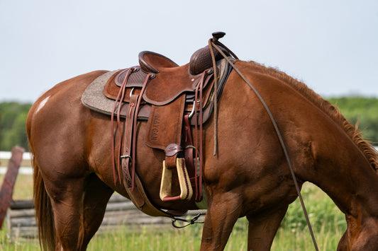 Selle western MAYGAN x Cutting