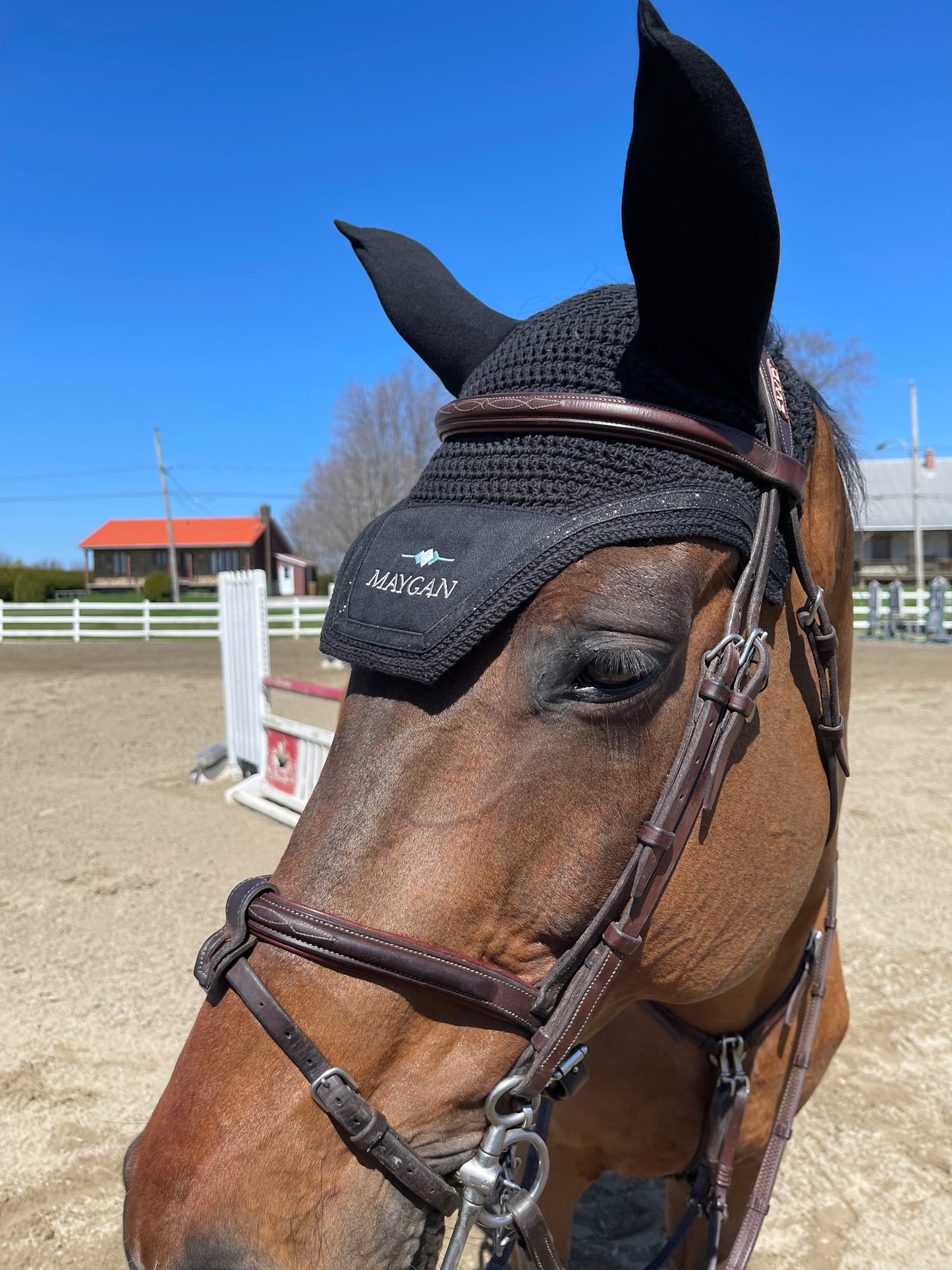 Bonnet MAYGAN avec brillant