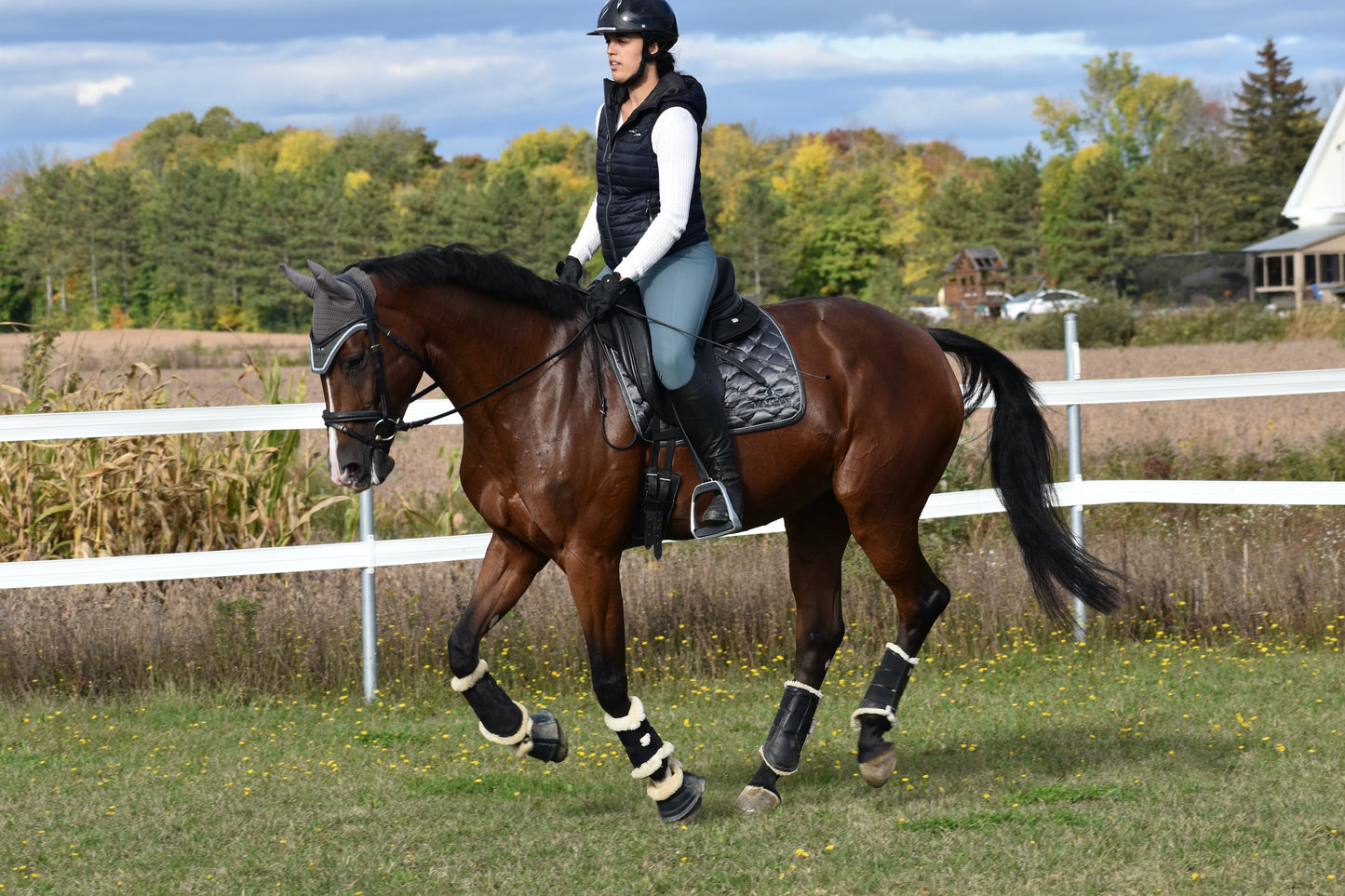 Maygan dressage saddle pad