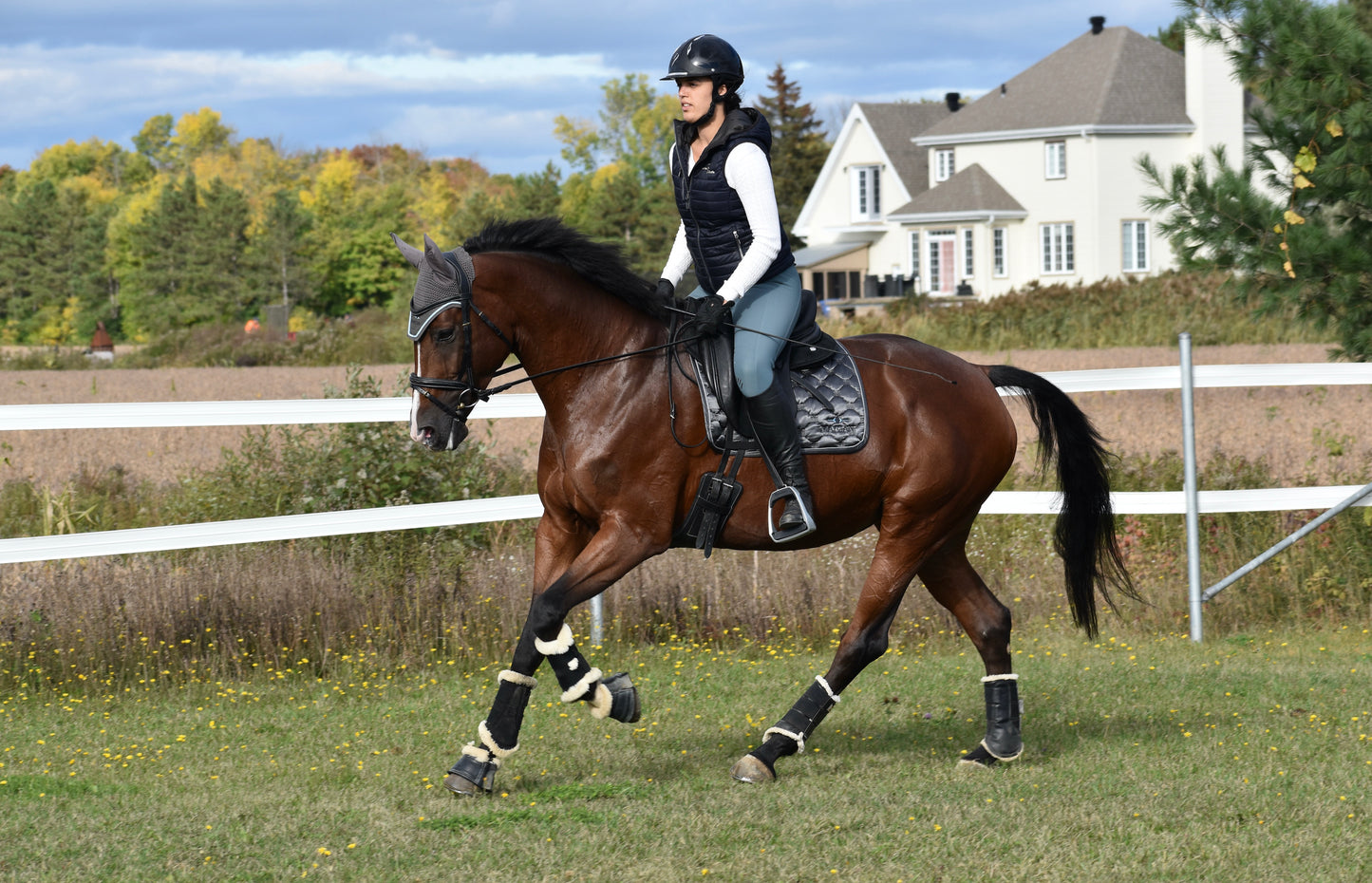 Tapis de selle de dressage Maygan