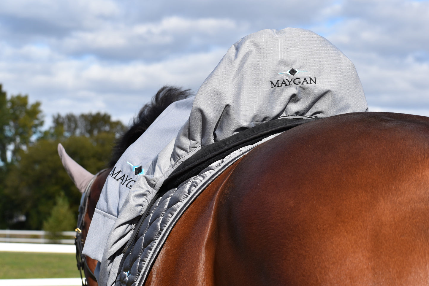 MAYGAN Jumping and Dressage saddle cover